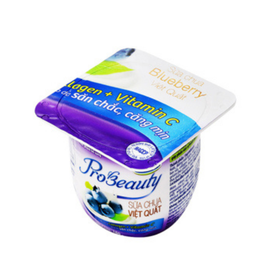 Sữa chua VNM Probeauty việt quất 100g 1