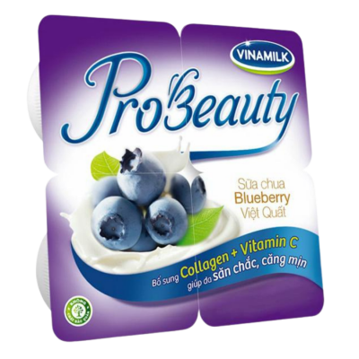 Sữa chua VNM Probeauty việt quất 100g